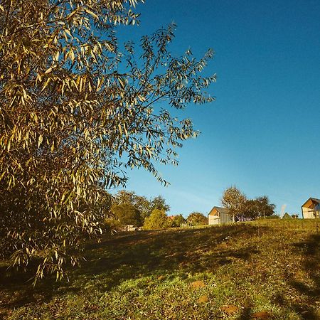 Scandinave Chalet Bran Zărneşti Exterior foto