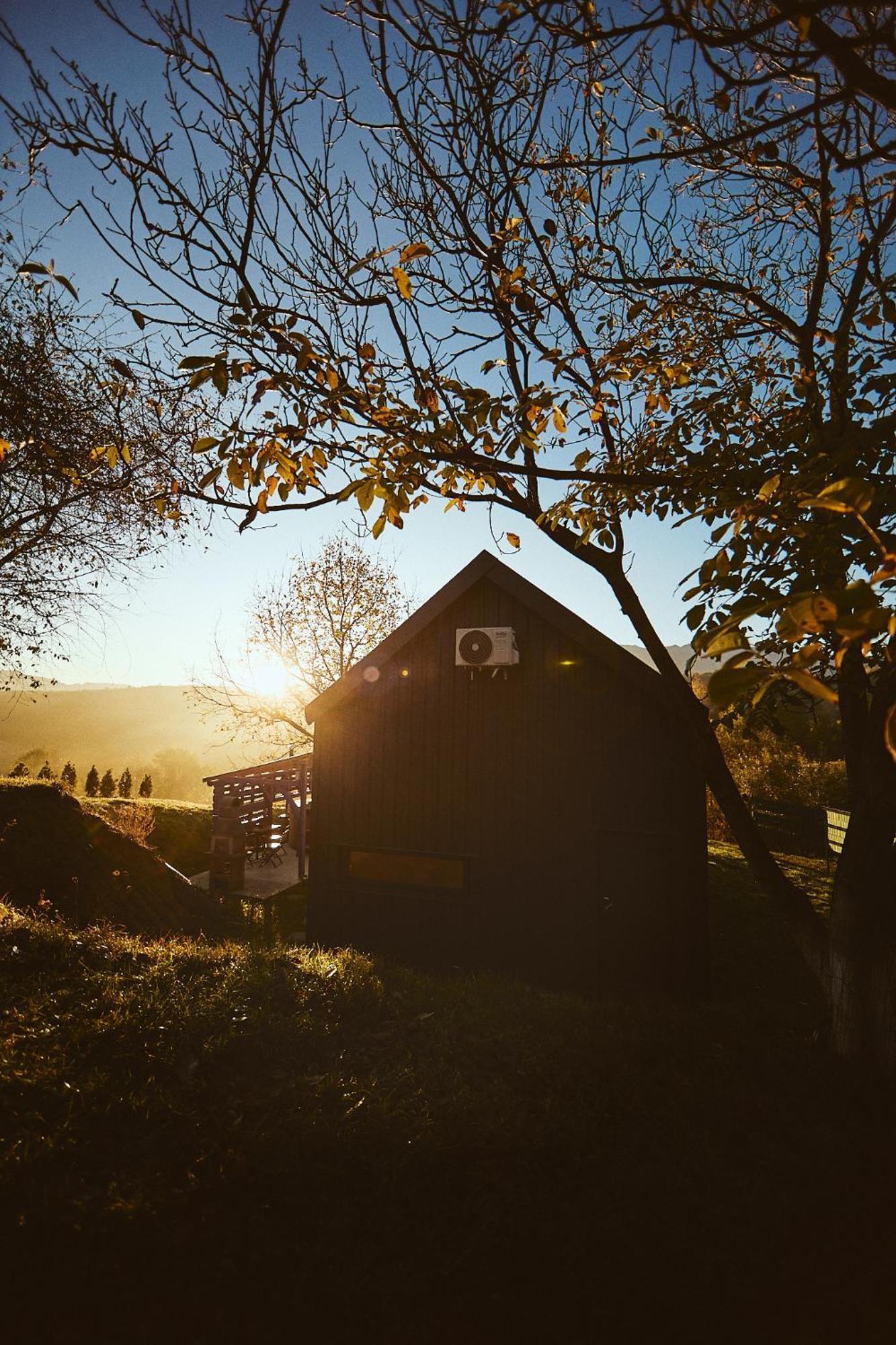 Scandinave Chalet Bran Zărneşti Exterior foto